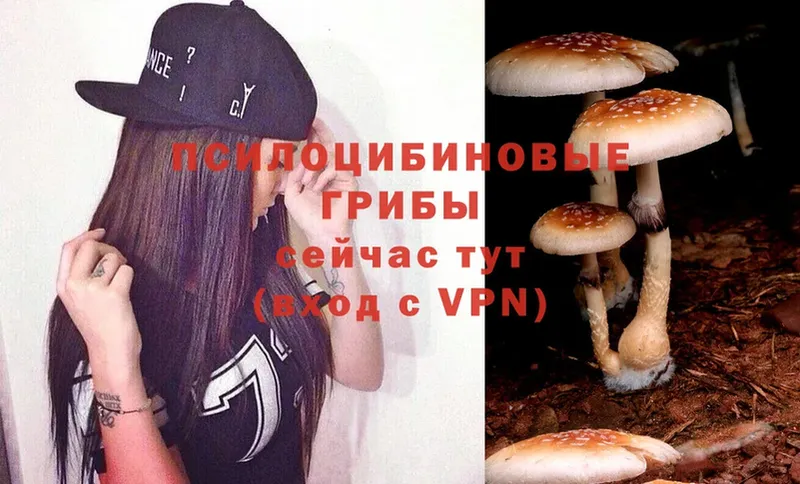 Псилоцибиновые грибы Psilocybine cubensis  KRAKEN ССЫЛКА  Октябрьский 